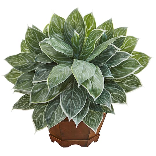 18&#x22; Chinese Evergreen Plant in Decorative Planter